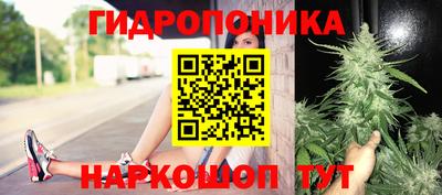 прущие крисы Гай