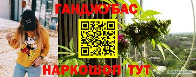 прущие крисы Гай