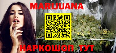 прущие крисы Гай
