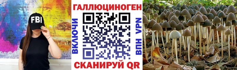 Галлюциногенные грибы Cubensis  Советская Гавань 