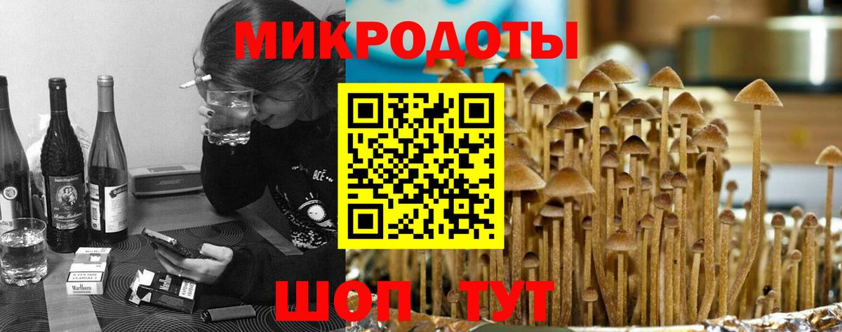 Советская Гавань  Галлюциногенные грибы Psilocybine cubensis  Вход с VPN  где можно купить   Псилоцибиновые грибы прущие грибы 